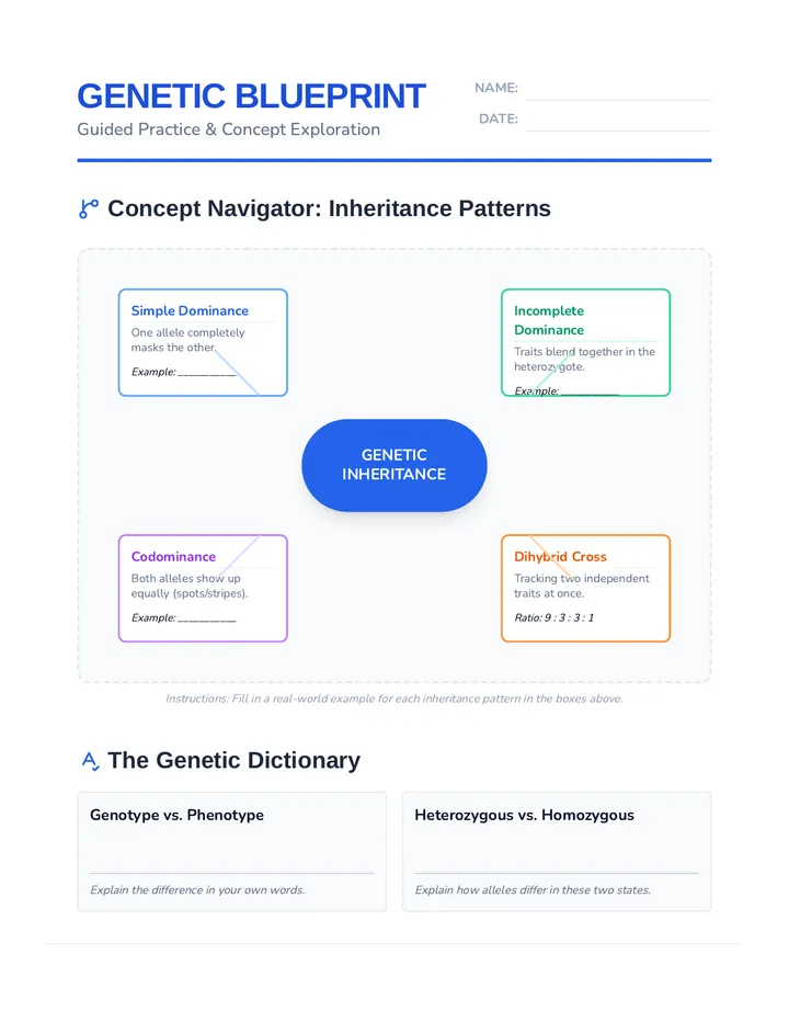 Genetic Blueprint Worksheet