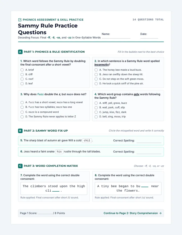 Sammy Rule Question Sheet