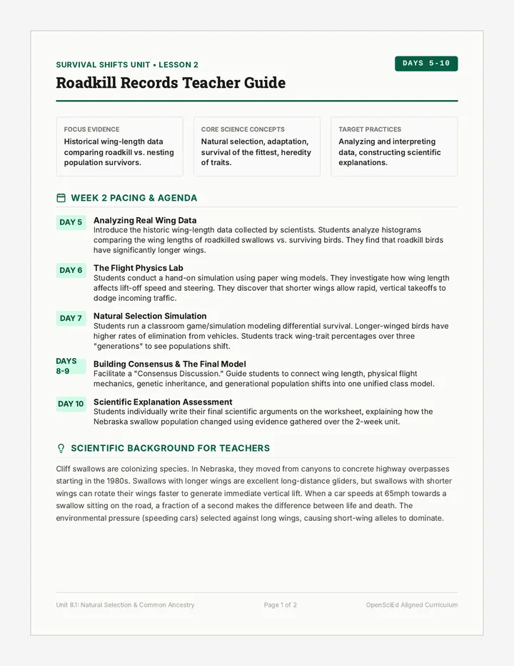 Roadkill Records Teacher Guide