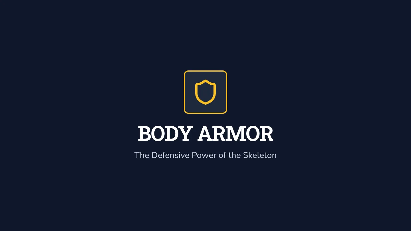 Body Armor Slides