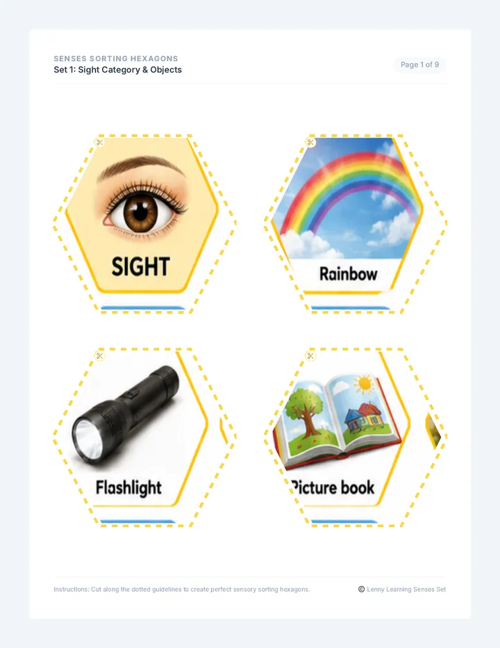 Senses Sorting Flashcards