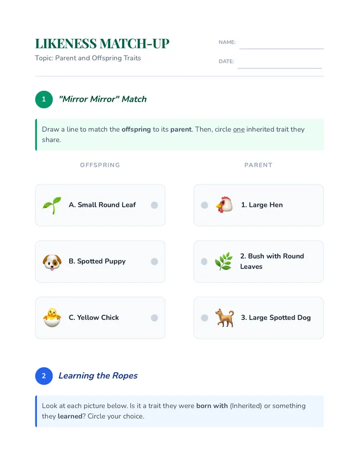 Likeness Match Worksheet