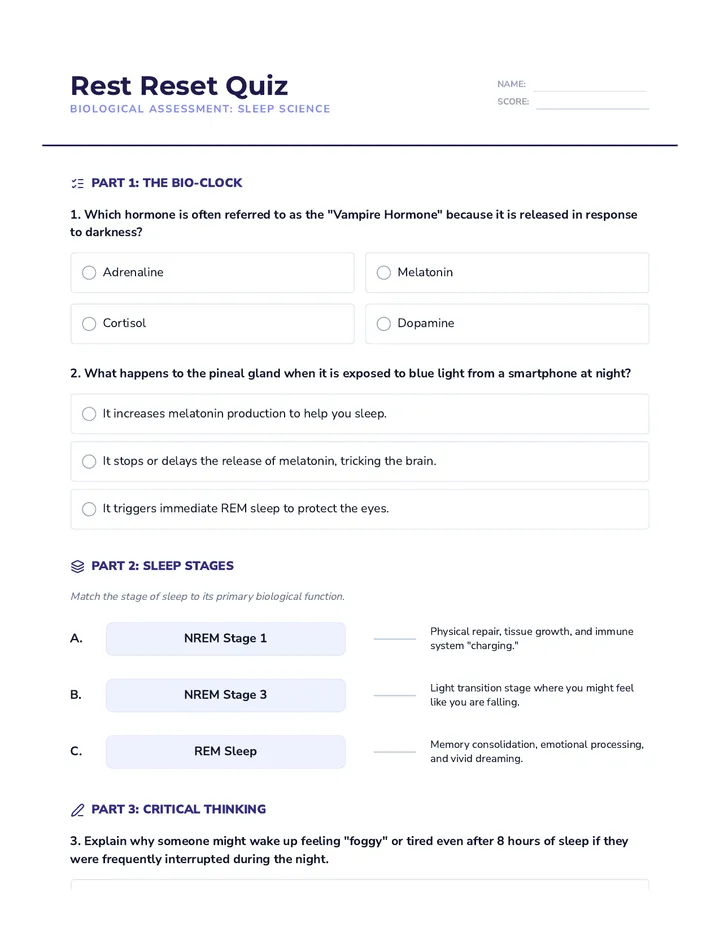 Rest Reset Quiz