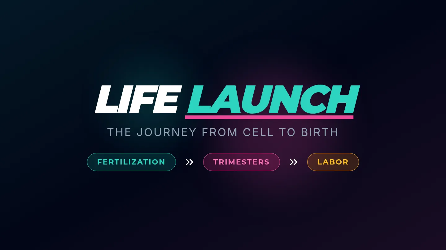 Life Launch Slides