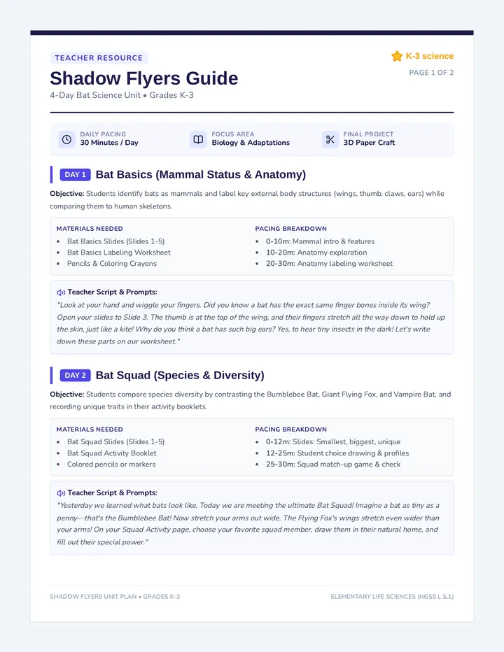 Shadow Flyers Teacher Guide