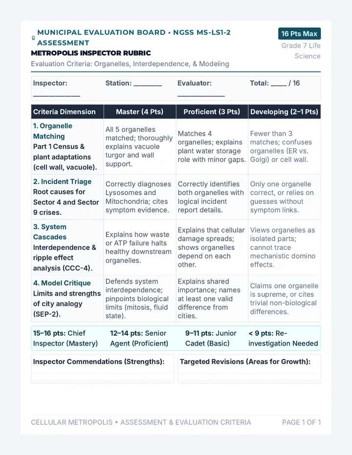 Metropolis Inspector Rubric