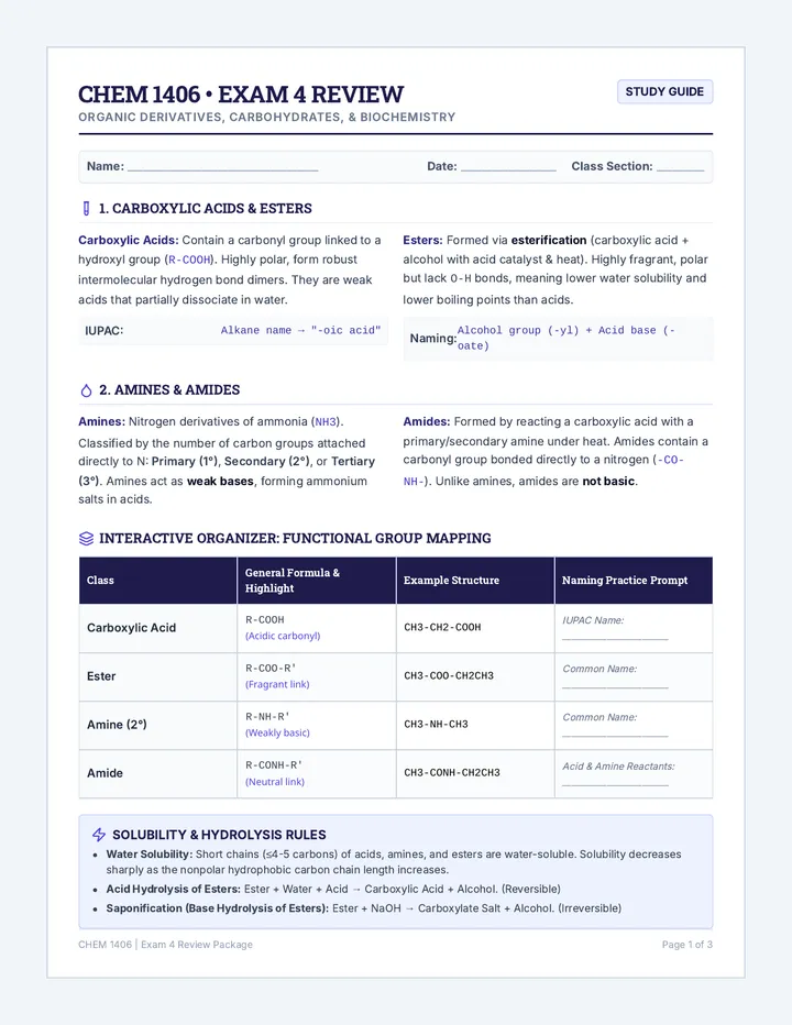 Concept Review Study Guide