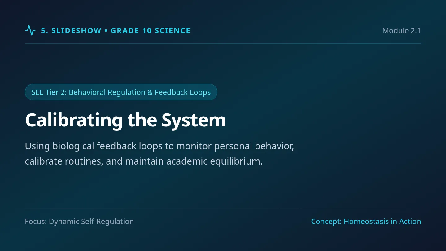 System Calibration Slides