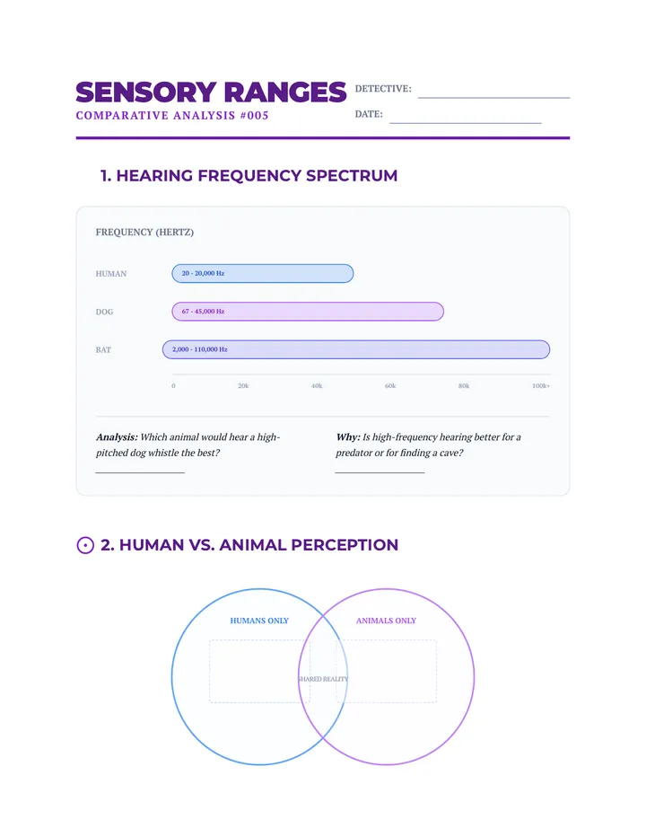 Sensory Range Comparison Worksheet