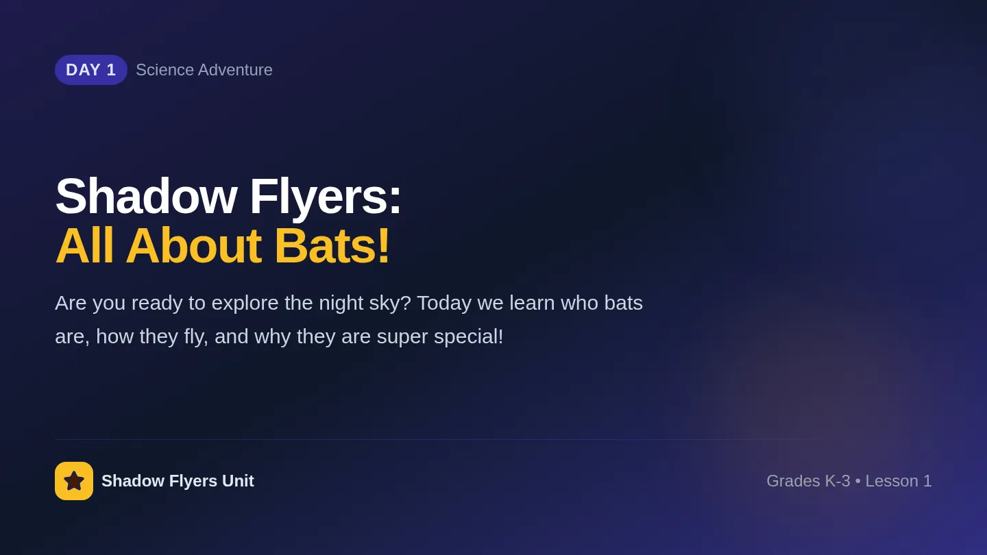 Bat Basics Slides