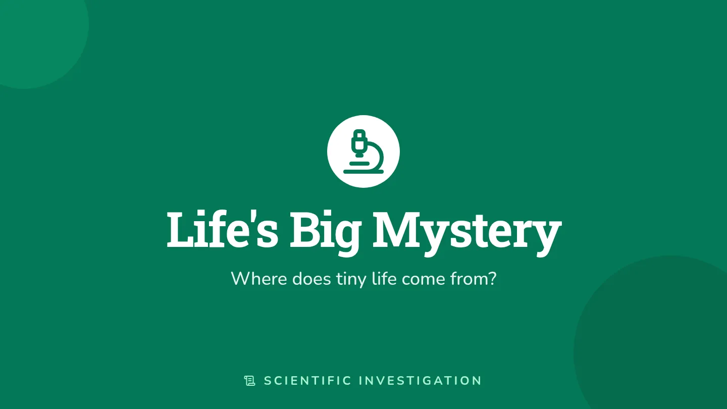Mystery Slides