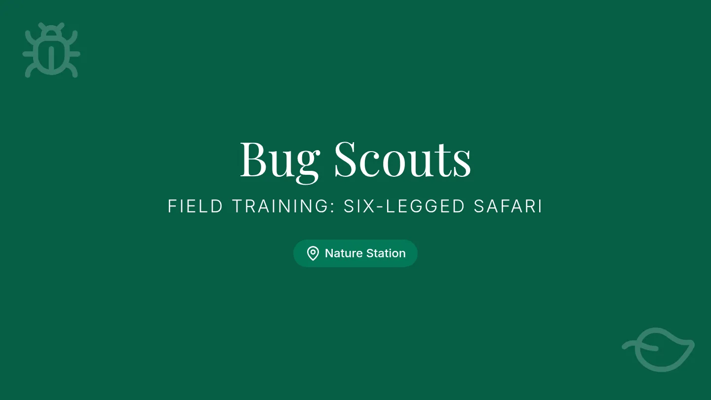 Bug Scouts Presentation Slides