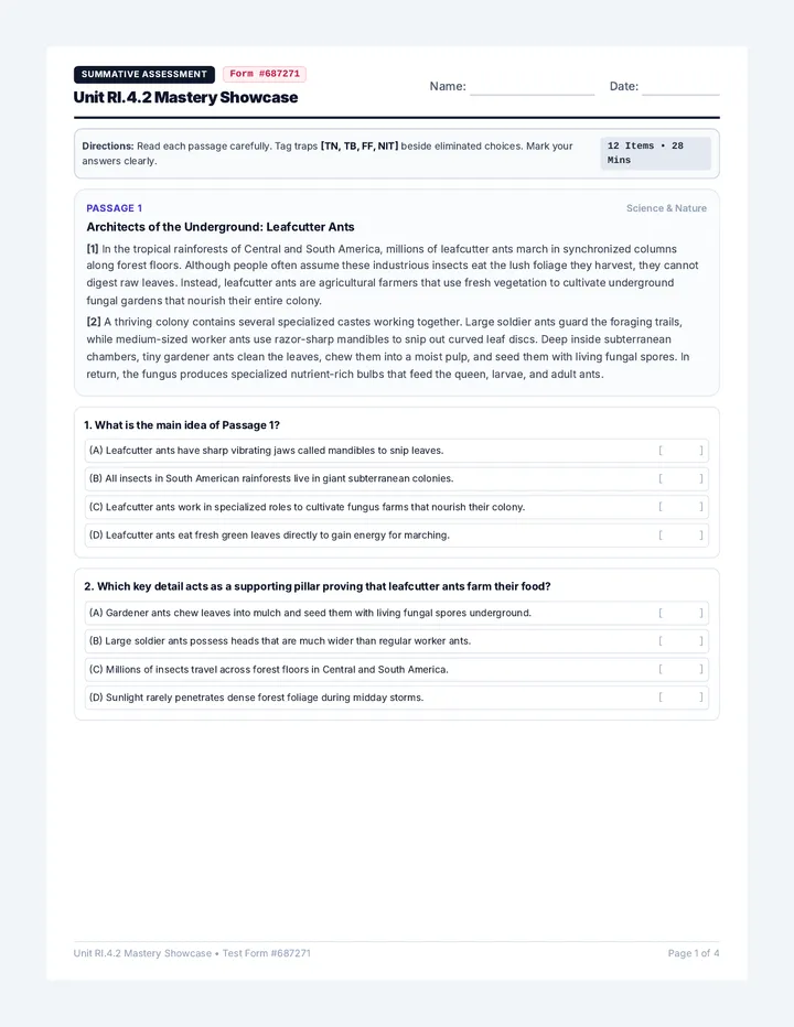Core Idea Test Packet