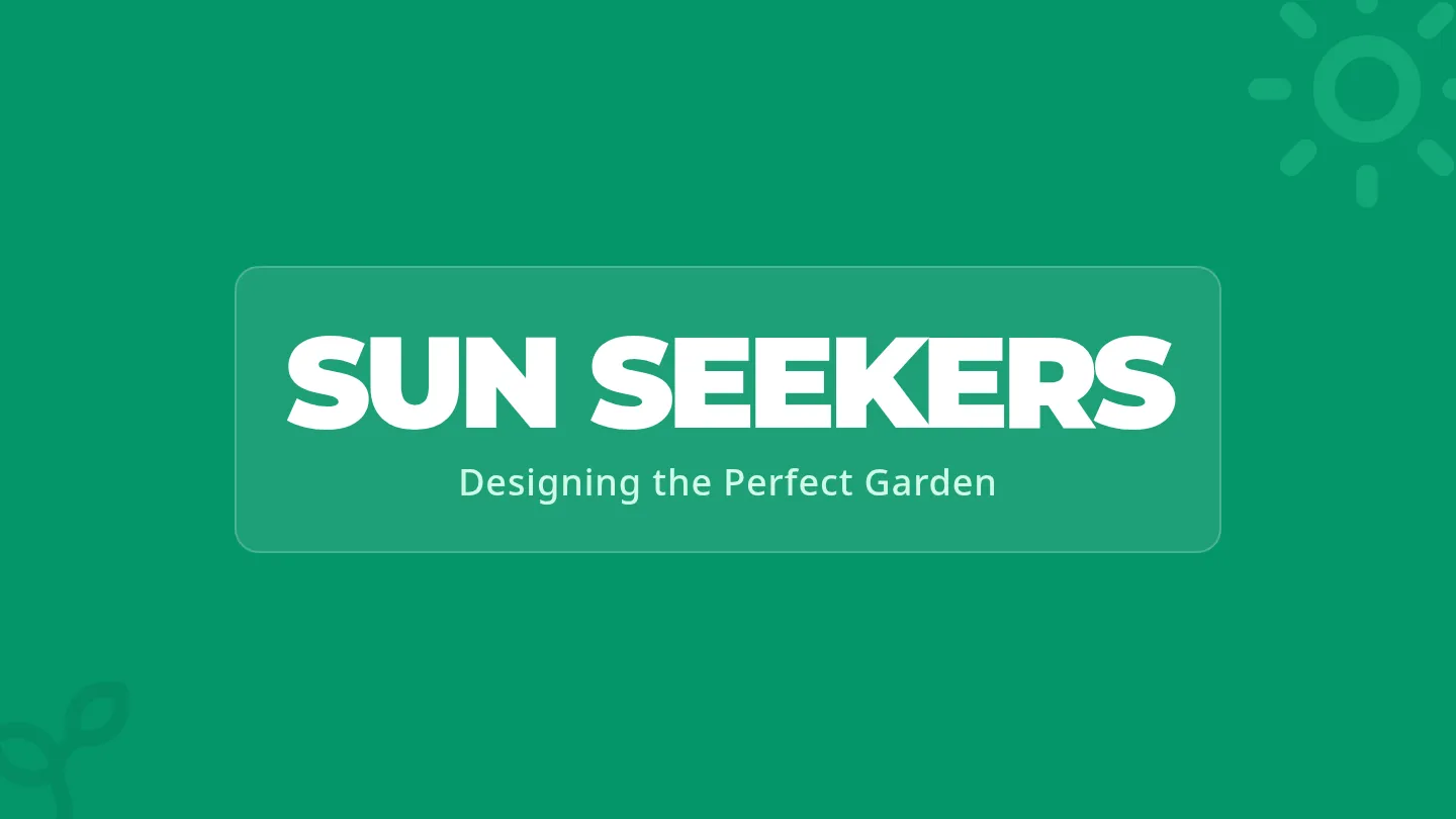 Sun Seekers Slides