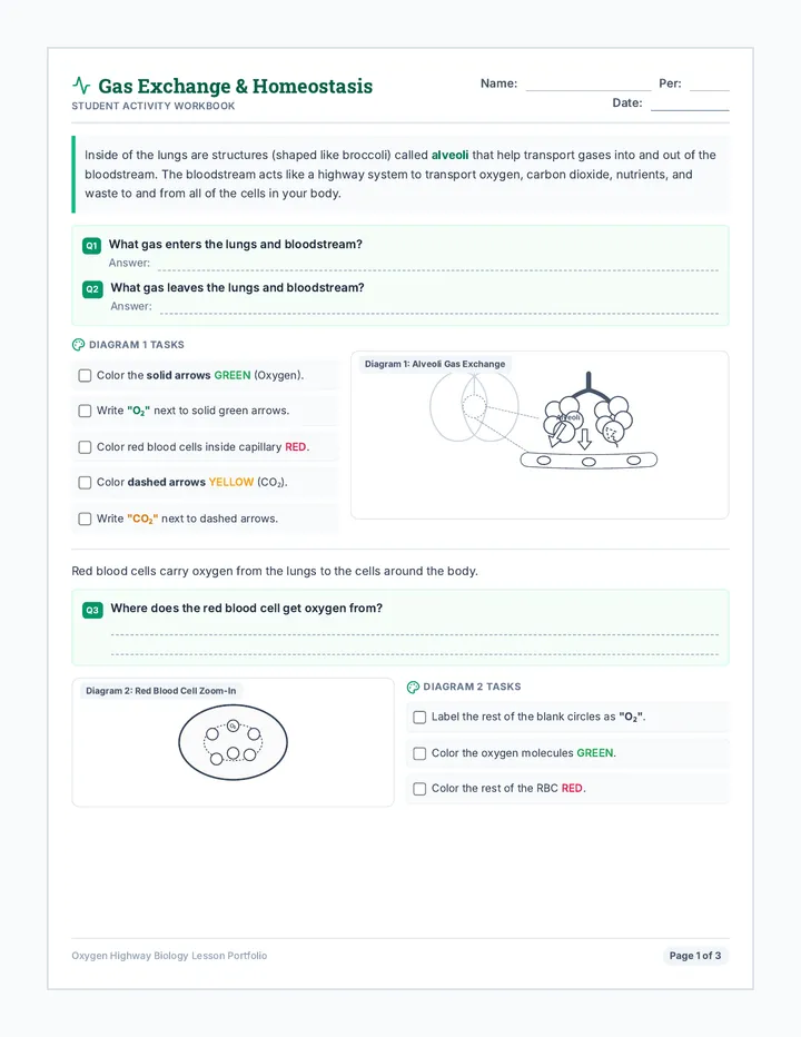 Oxygen Highway Workbook