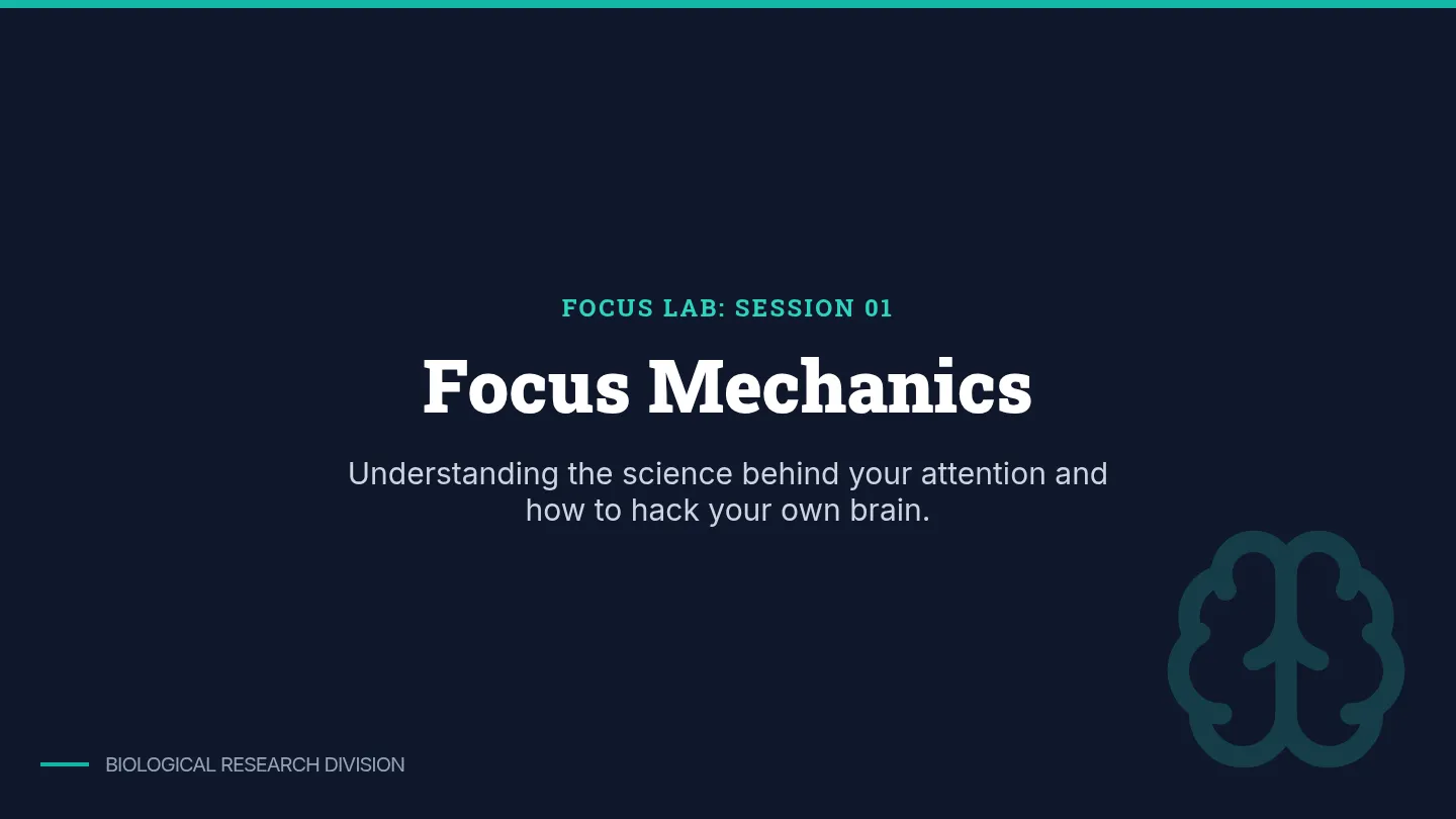 Focus Mechanics Slides