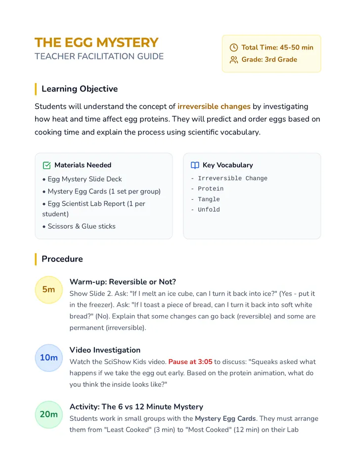 Egg Scientist Facilitation Guide