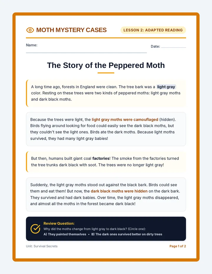 Moth Mystery Worksheet