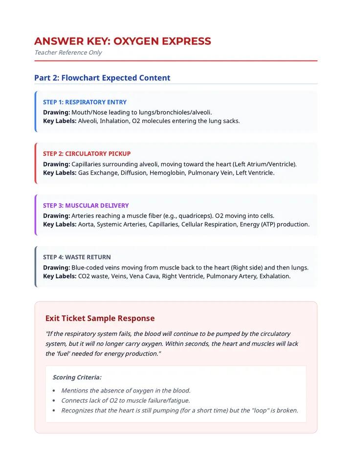Oxygen Express Answer Key