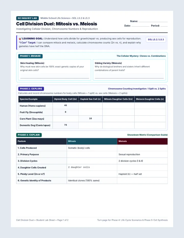 Division Duel Student Worksheet