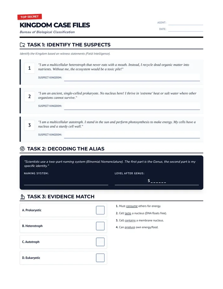 Kingdom Riddle Worksheet