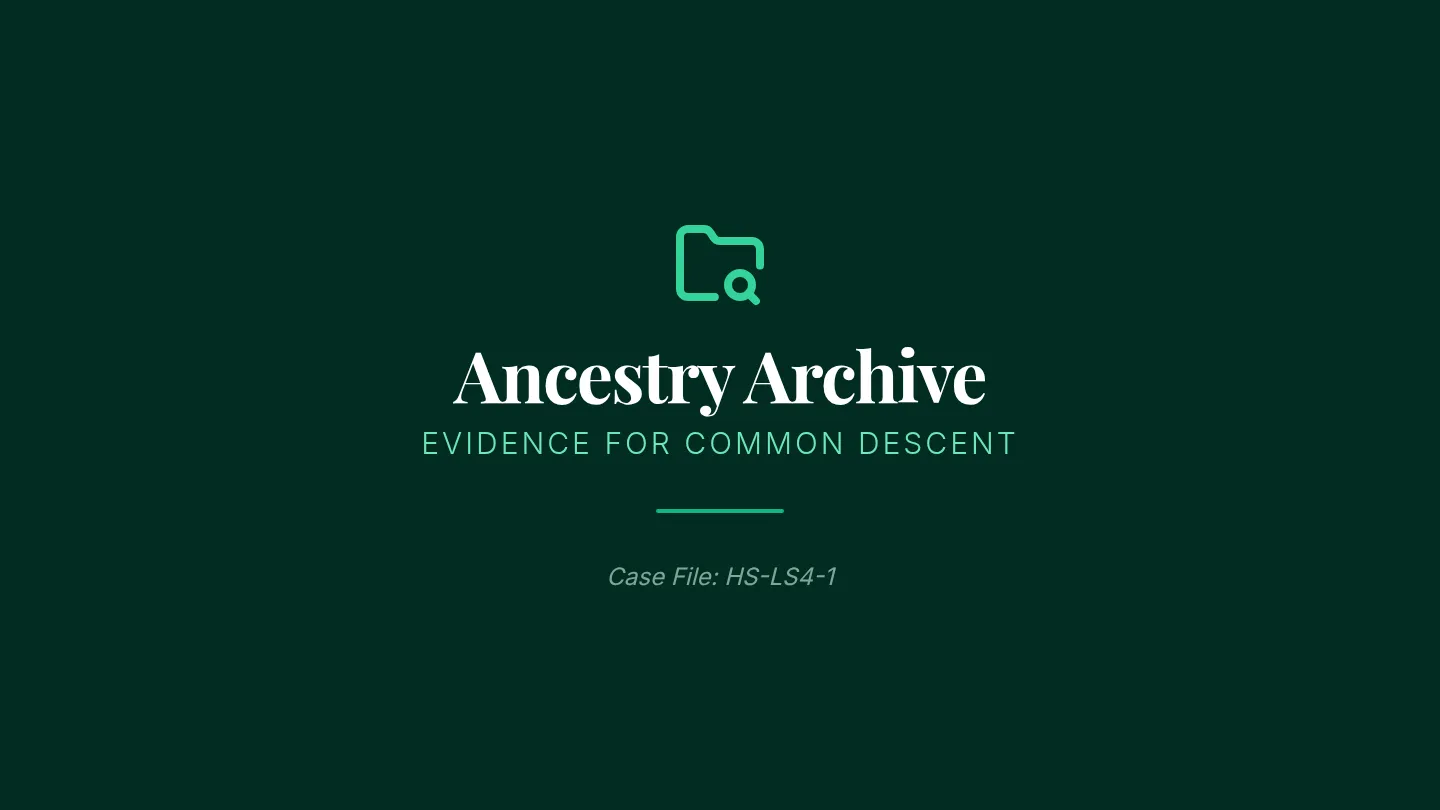 Ancestry Archive Slides
