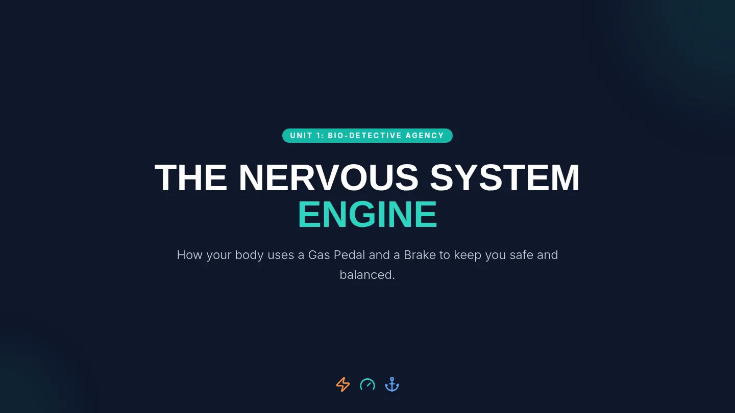 Body Engine Slides