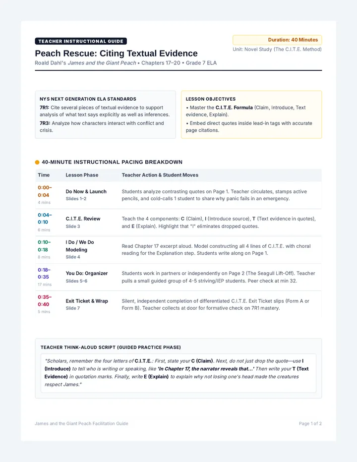 Peach Rescue Teacher Guide