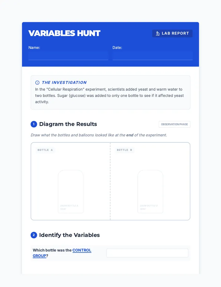 Variables Hunt Worksheet