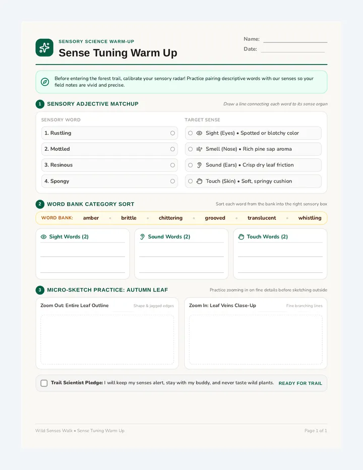 Sense Tuning Warm Up