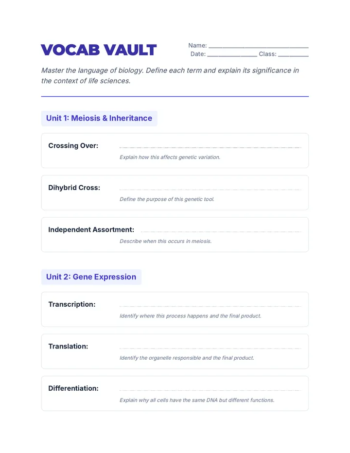 Vocab Vault Activity