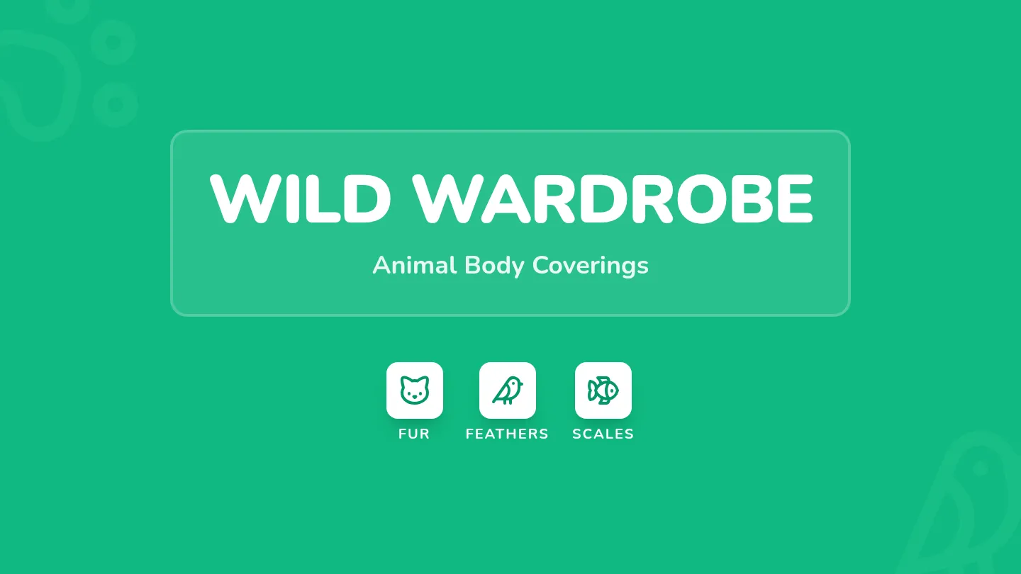 Wild Wardrobe Slides Presentation