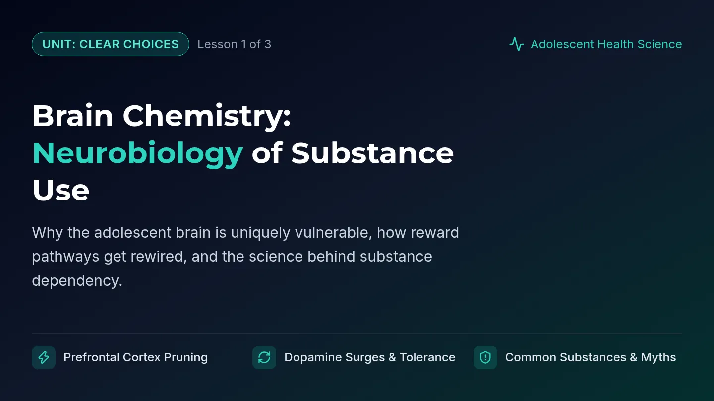 Brain Chemistry Slides