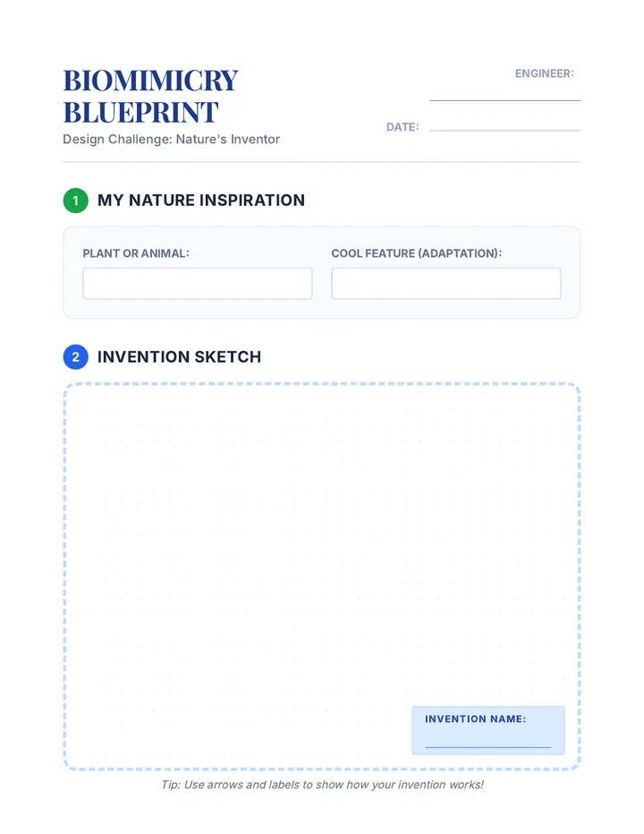 Biomimicry Blueprint Worksheet