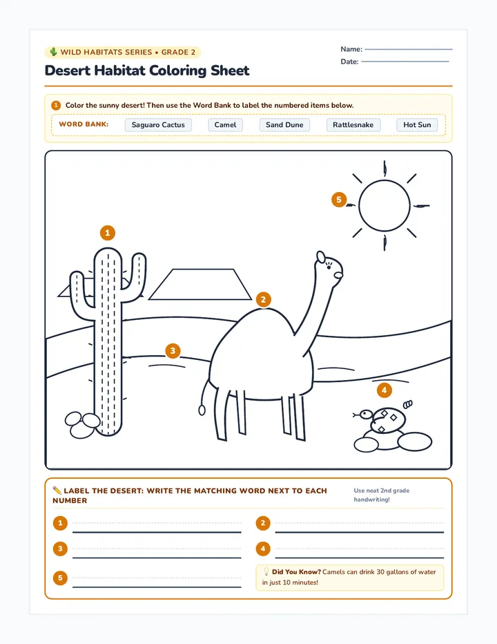 Desert Habitat Coloring Worksheet