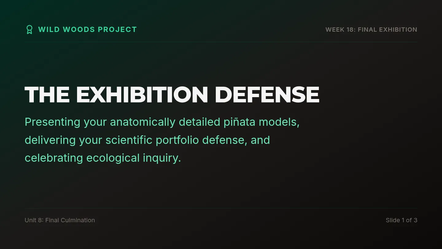 Exhibition Defense Slides