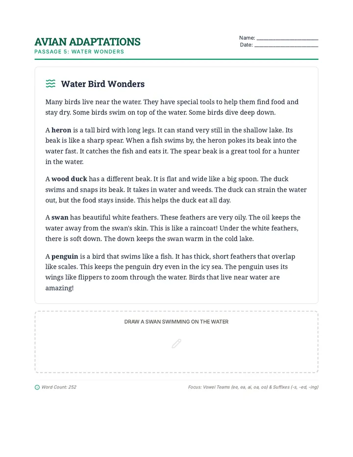 Water Bird Wonders Passage 5
