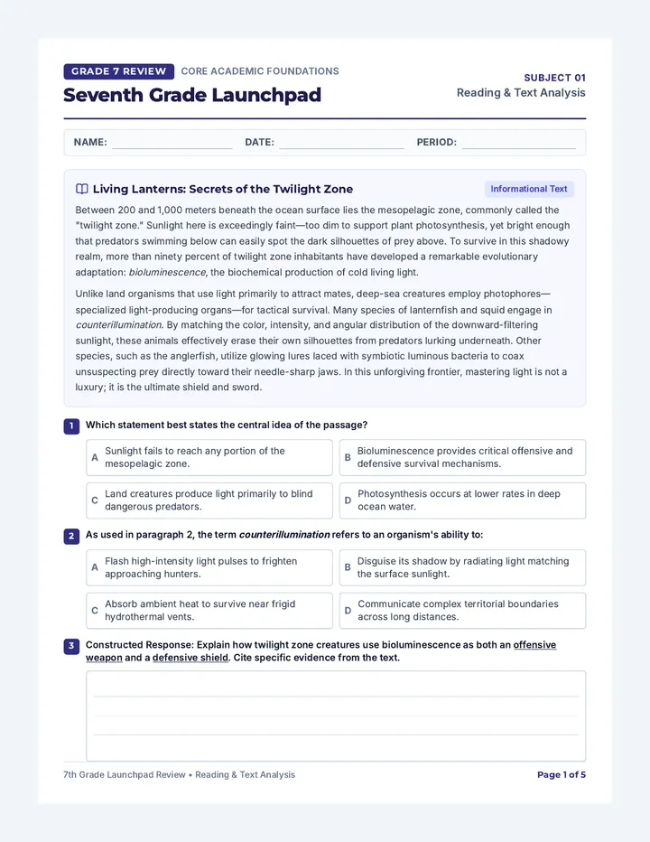 Seventh Grade Launchpad Packet