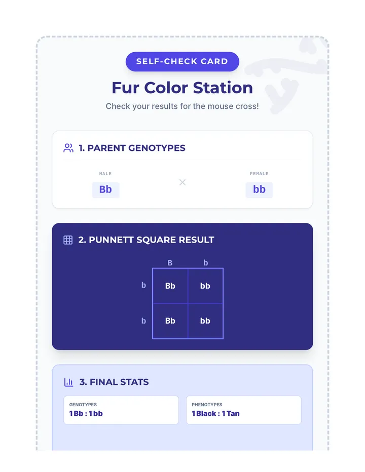 Fur Color Challenge Self Check