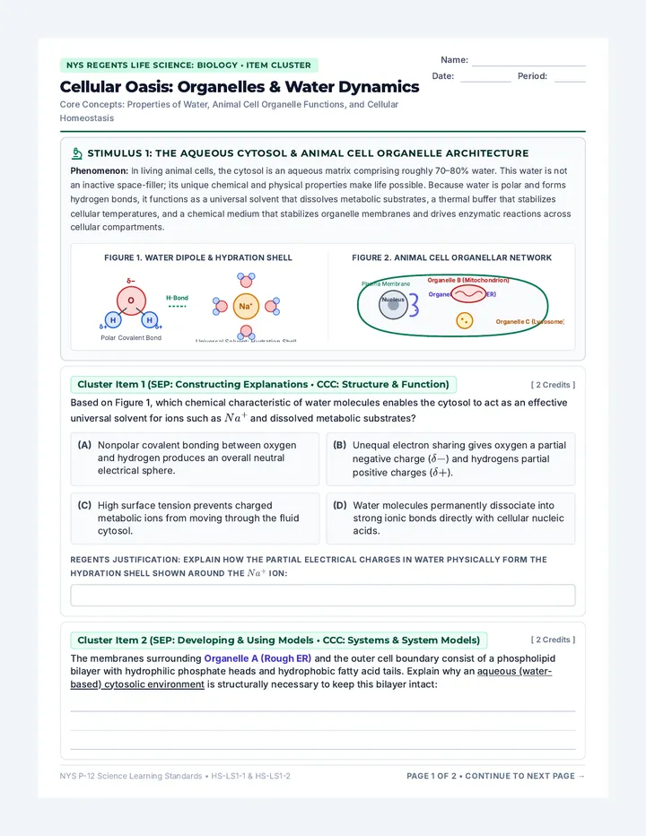 Cellular Oasis Cluster Worksheet