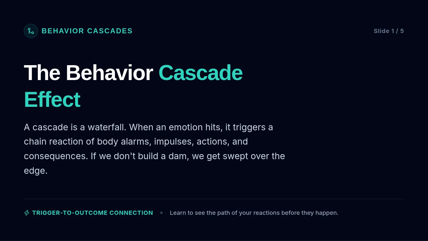 Behavior Cascade Slides