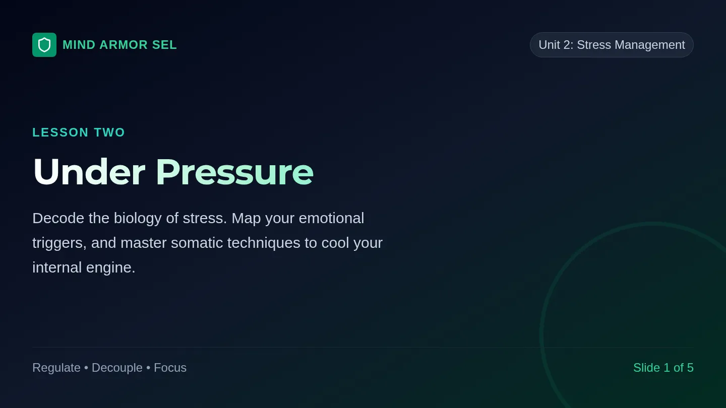 Under Pressure Slides