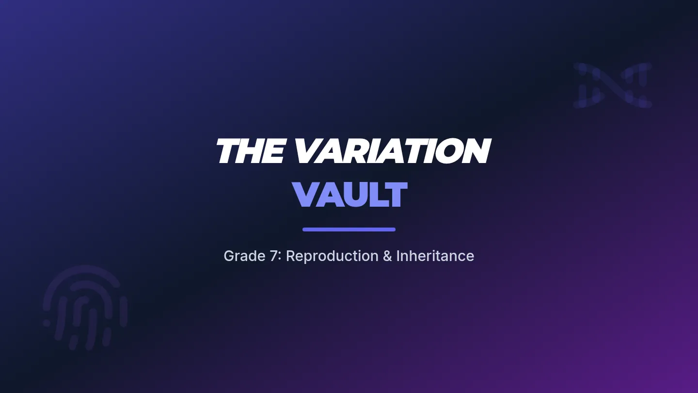 Variation Vault Slides