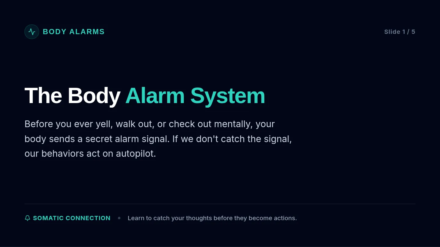Body Alarm Slides