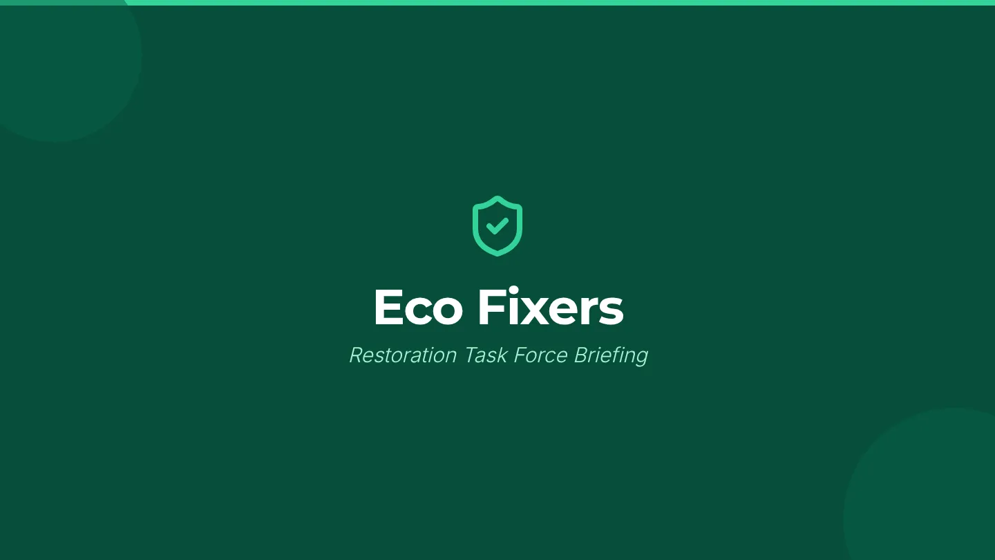 Eco Fixers Slides