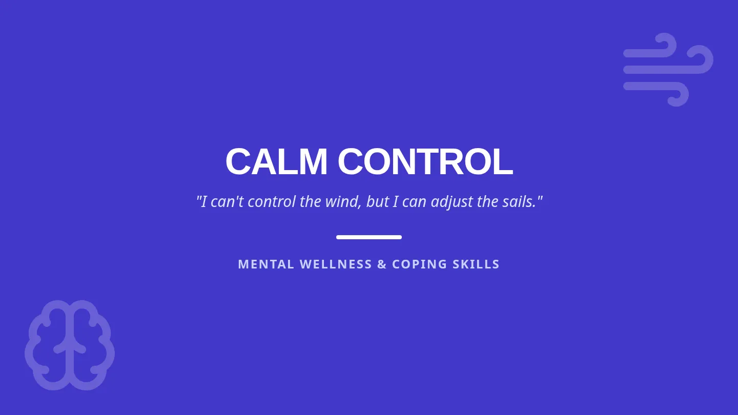 Calm Control Slides
