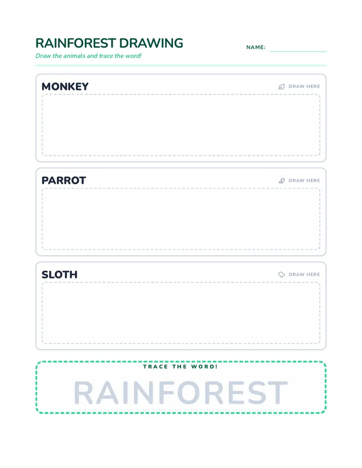 Rainforest Drawing Worksheet