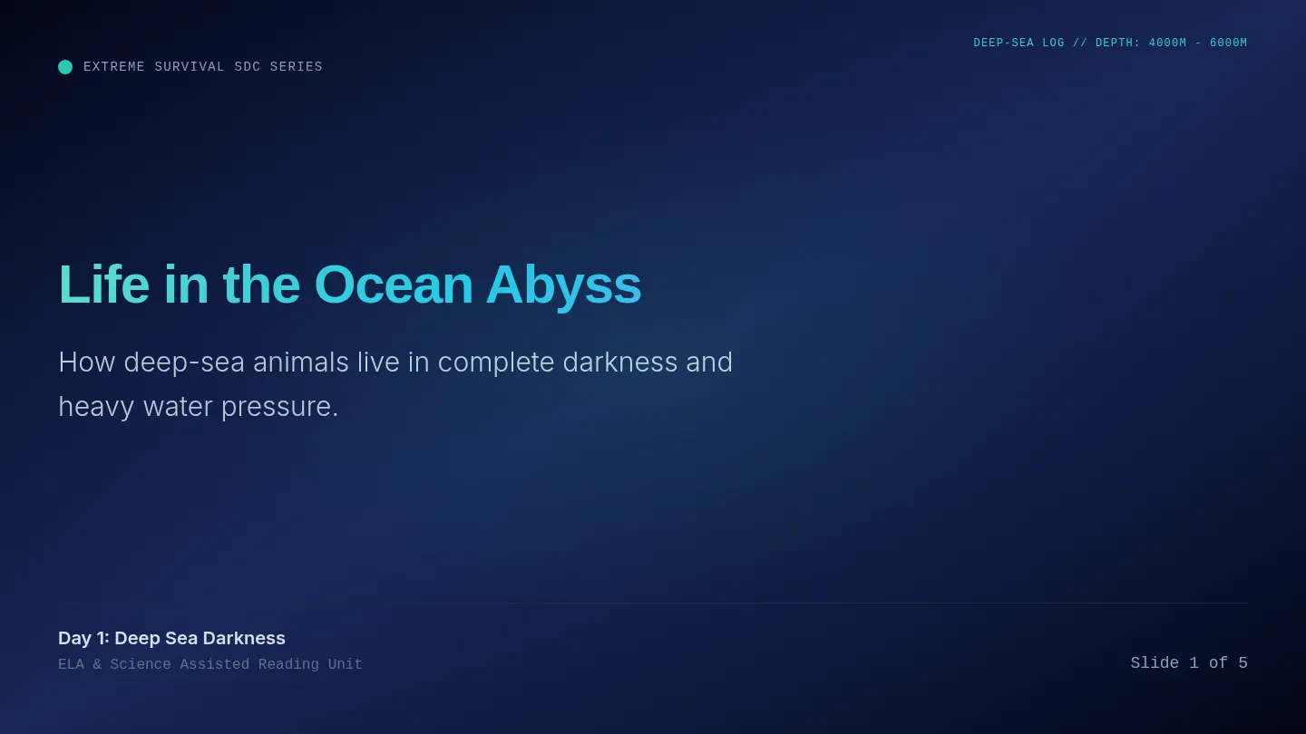 Abyss Slides