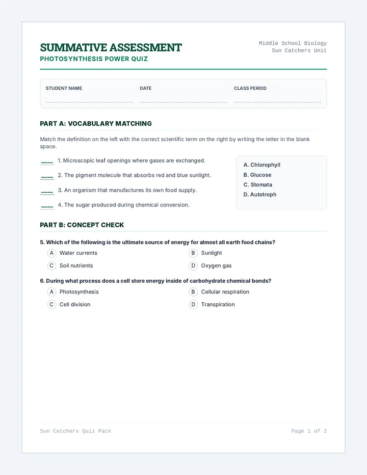 Photosynthesis Power Quiz