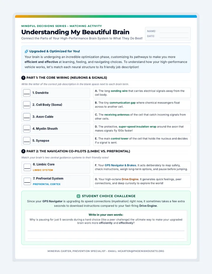 Beautiful Brain Worksheet